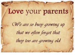 Love-your-parents-We-are-so-busy-growing-up-that-we-often-forget-that-they-too-are-growing-old-250x186.jpg