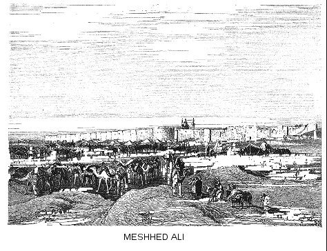 p110.jpg