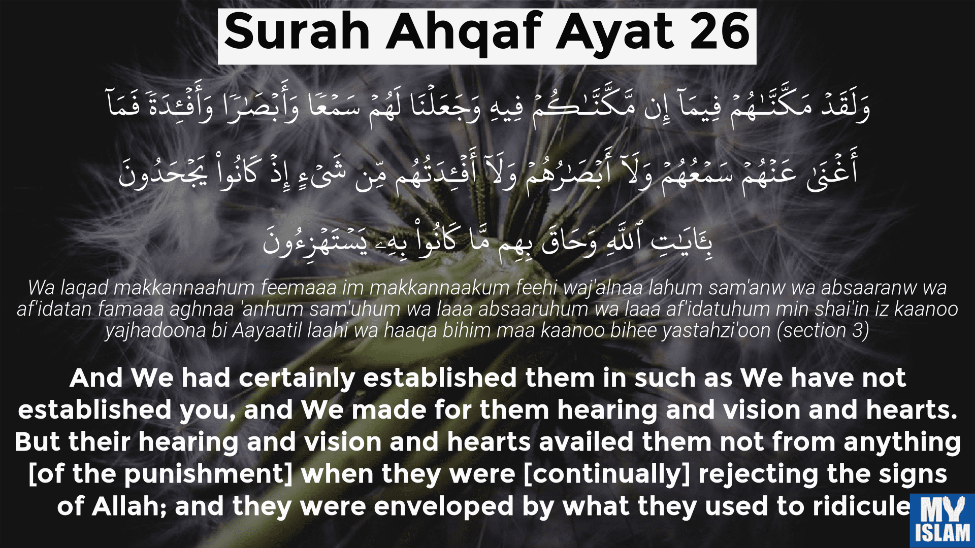 surah-ahqaf-ayat-26.png