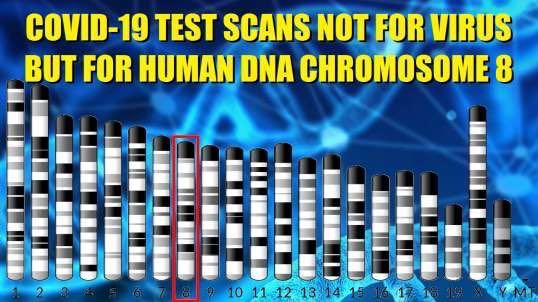 Chromosome%208%20(1).jpg