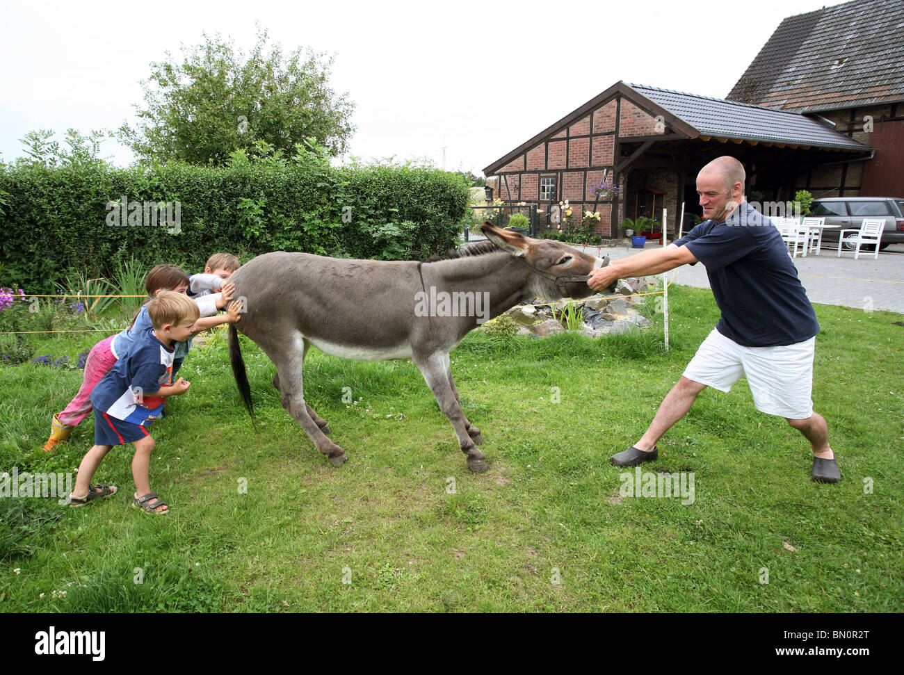 a-man-with-kids-try-to-make-a-stubborn-donkey-move-BN0R2T.jpg