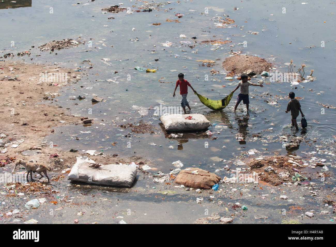 children-playing-in-filthy-and-polluted-river-sabarmati-in-the-centre-H4R1A8.jpg