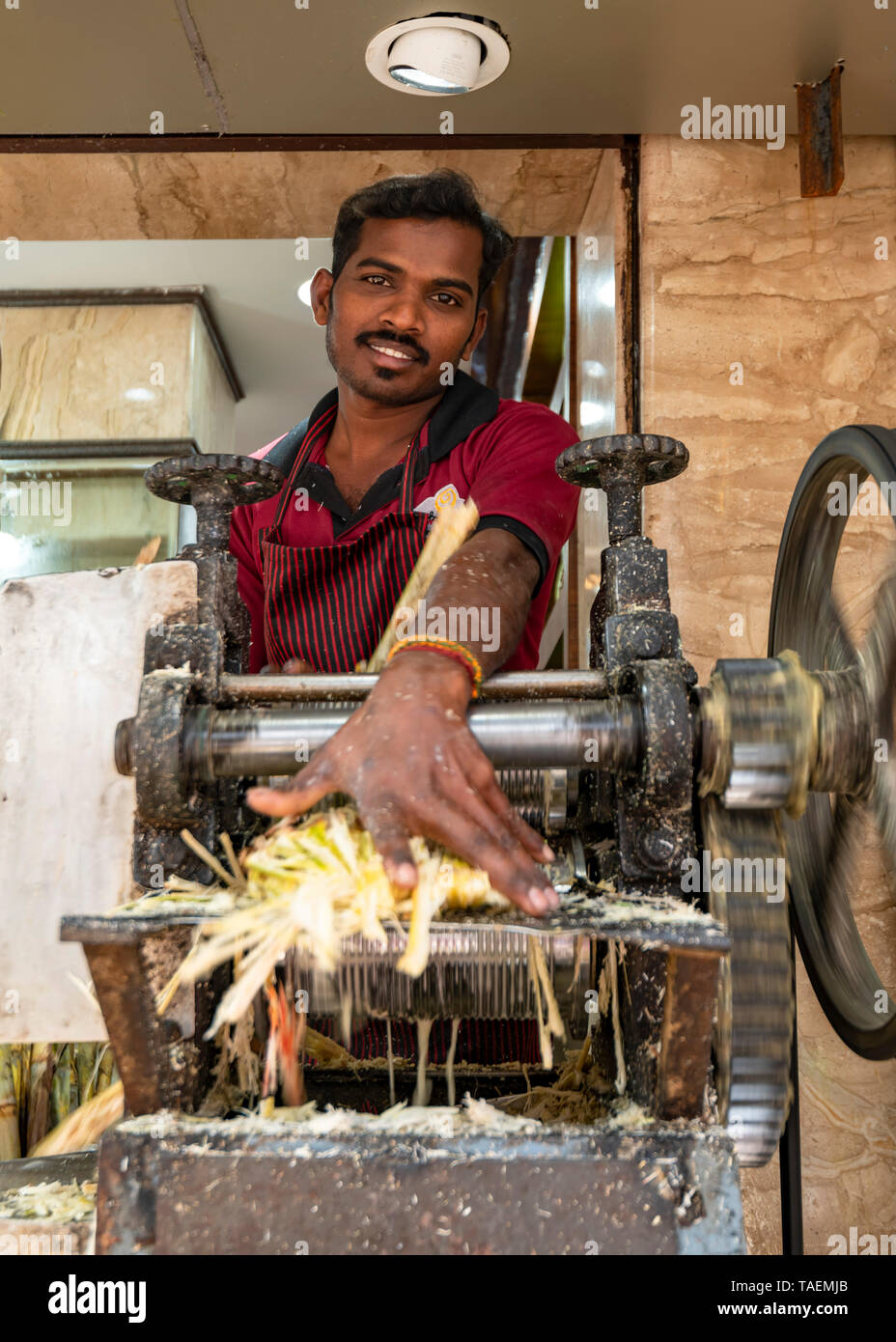 vertical-portrait-of-a-man-using-a-mangle-to-extract-sugarcane-juice-in-india-TAEMJB.jpg