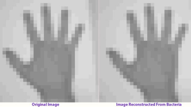 hand-image-on-bacteria-dna.jpg