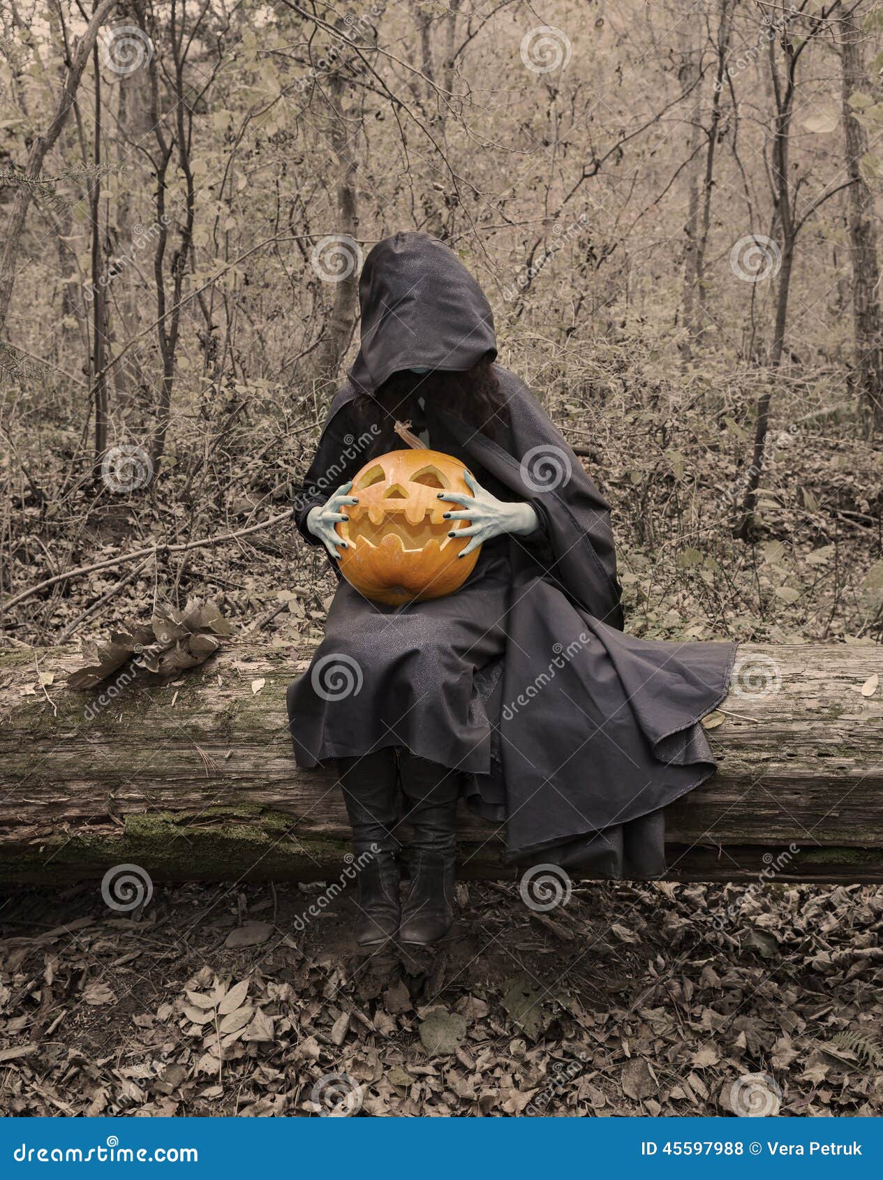 scary-witch-log-pumpkin-halloween-background-black-mantle-sitting-old-forest-45597988.jpg